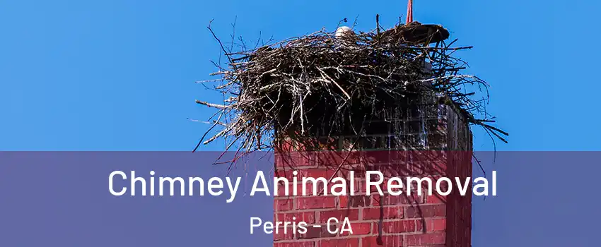 Chimney Animal Removal Perris - CA
