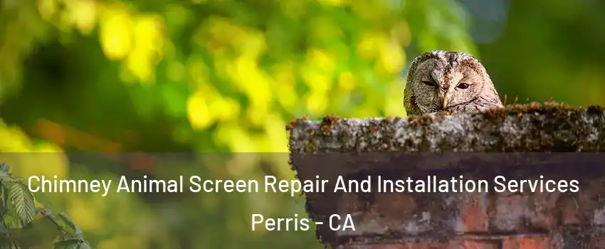 Chimney Animal Screen Repair And Installation Services Perris - CA