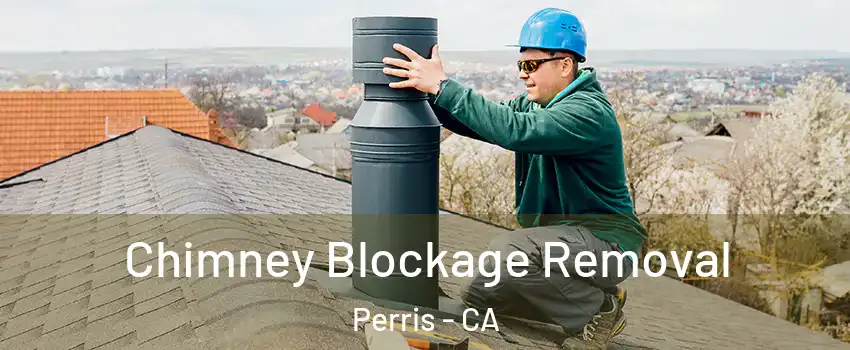  Chimney Blockage Removal Perris - CA