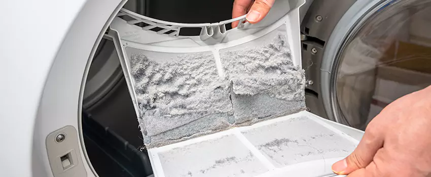 Best Dryer Lint Removal Company in Perris, California