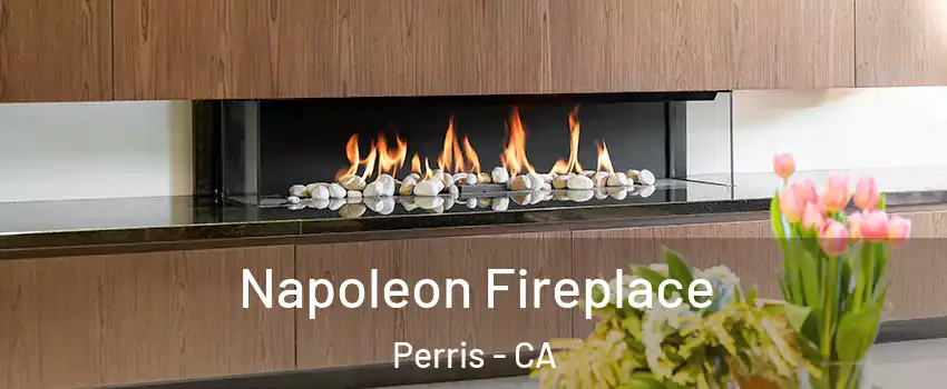  Napoleon Fireplace Perris - CA